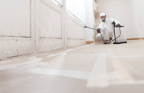24/7 Emergency Commercial Mold Remediation experts in McBain, MI