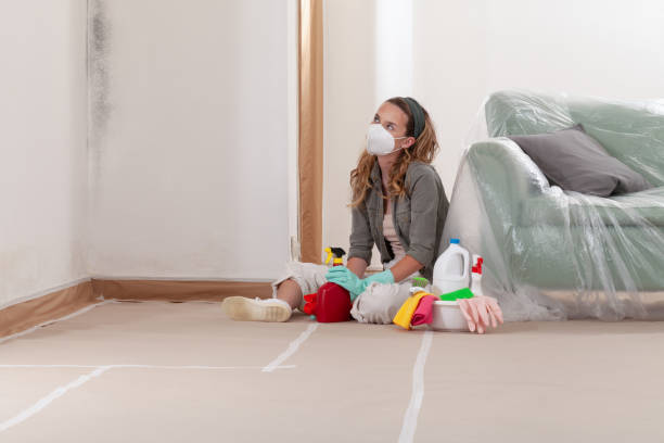 Reliable Commercial Mold Remediation contractor in McBain, MI by Car Mold Remediation