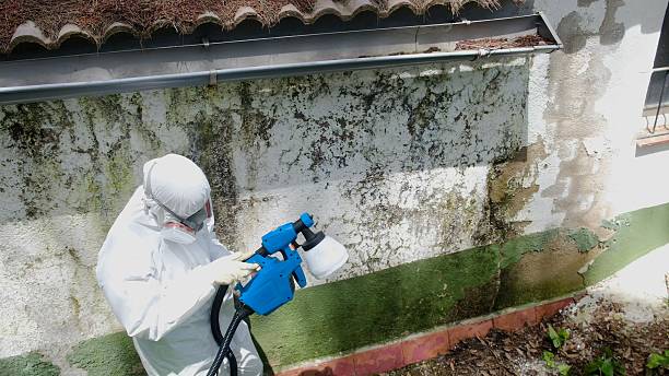 Top rated local Commercial Mold Remediation specialists in McBain, MI